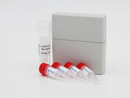 小鼠卵巢癌标志物CA125Elisa试剂盒,HKCA125