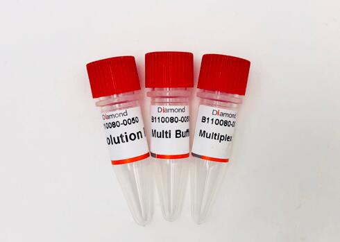 诺氏梭状芽孢杆菌探针法荧光定量PCR试剂盒,Clostridium novyi