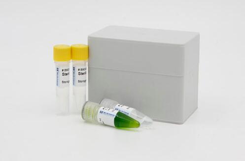 溶血梭状芽孢杆菌PCR试剂盒,Clostridium haemolyticum