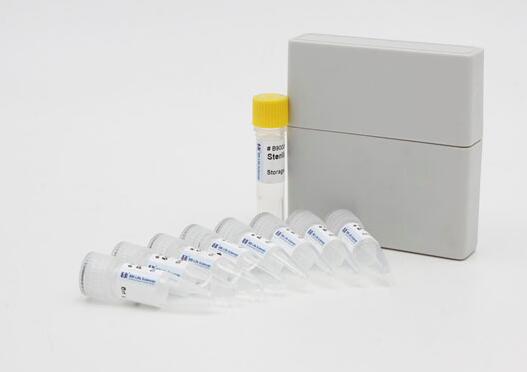 小鼠血浆α颗粒膜蛋白(GMP-140)Elisa试剂盒,GMP-140