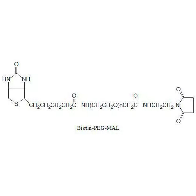 生物素聚乙二醇馬來(lái)酰亞胺,Maleimide-PEG-Biotin;Biotion-PEG-Mal