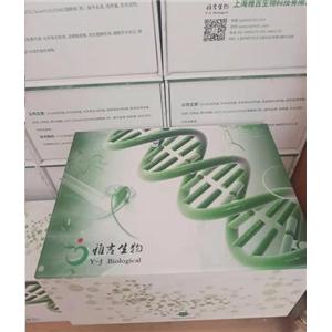 小鼠低密度脂蛋白(LDL)Elisa试剂盒