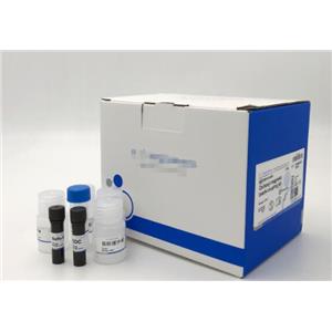 小鼠骨成型蛋白7(BMP-7)Elisa试剂盒
