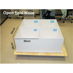 曠場實驗,open field test