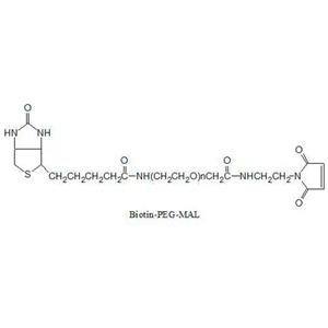 生物素聚乙二醇馬來酰亞胺