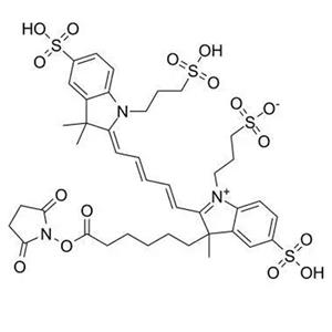 AF647活性酯