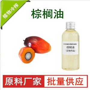 棕榈油；棕油,PalM Oil