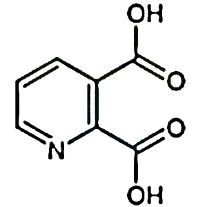 2,3-吡啶二甲酸,2,3-Pyridinedicarboxylic Acid