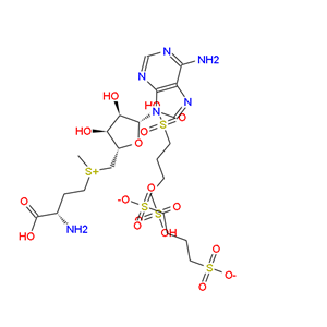 1,4-丁二磺酸-S-腺苷蛋氨酸