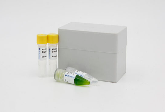 大鼠白介素2可溶性受体(IL-2sR)Elisa试剂盒,IL-2sR