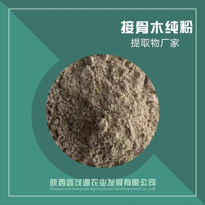 接骨木纯粉,Elderberry powder