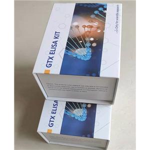 大鼠二胺氧化酶(DAO)Elisa试剂盒