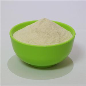 大米水解蛋白粉,Rice Hydrolyzed Protein Powder