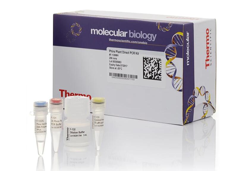 表皮葡萄球菌染料法荧光定量PCR试剂盒,Staphylococcus epidermidis