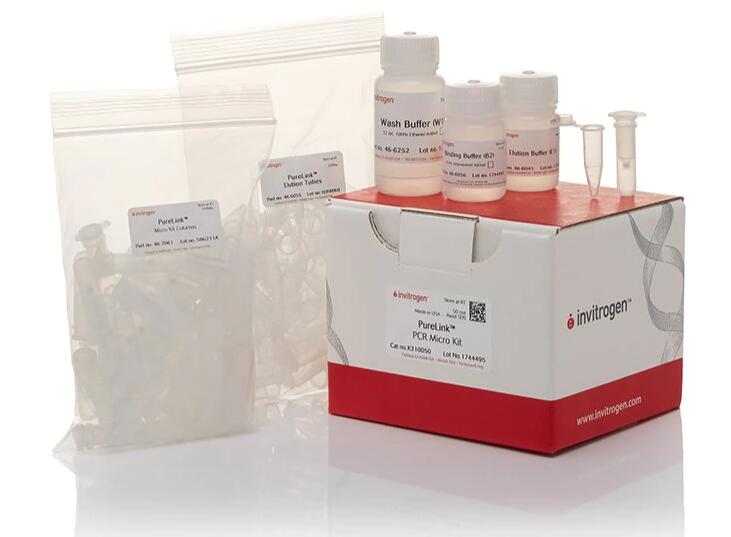 甘蔗壳多胞叶枯病菌PCR试剂盒,Stagonospora sacchari