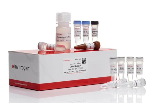 藜草花叶病毒RT-PCR试剂盒,Sowbane Mosaic Virus(SoMV)