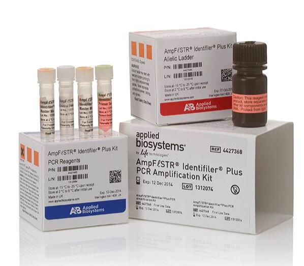 胆碱铜法胆碱酯酶显色试剂盒,Snell-Garrett