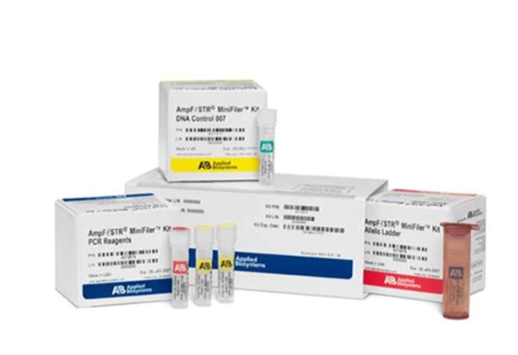 绵羊痘病毒PCR试剂盒,Sheeppox Virus(SPPV)
