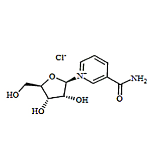 煙酰胺核糖氯化物,Nicotinamide Riboside Chloride