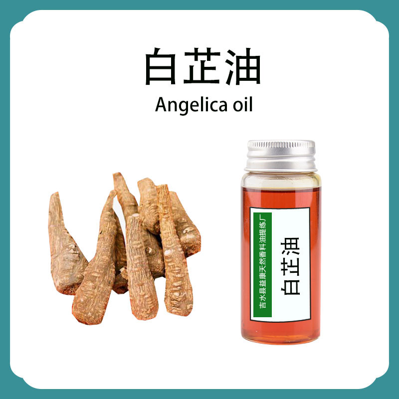 白芷油,AngelicaDahuricaOil