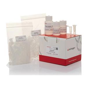 沙雷菌通用探针法荧光定量PCR试剂盒,Serratia spp