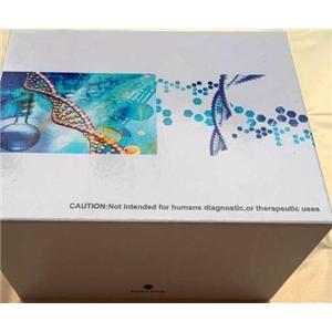 大鼠补体因子H(CFH)Elisa试剂盒