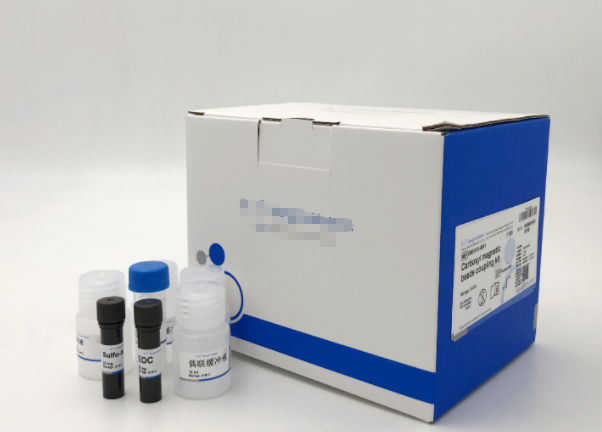 小鼠D-乳酸(D-Lactate)Elisa试剂盒,D-Lactate