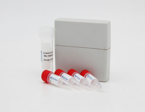 小鼠肠道病毒71型IgG抗体(EV71-IgG)Elisa试剂盒,EV71-IgG