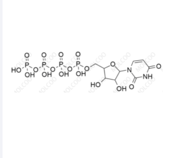 地夸磷索雜質(zhì)8,Diquafosol Impurity