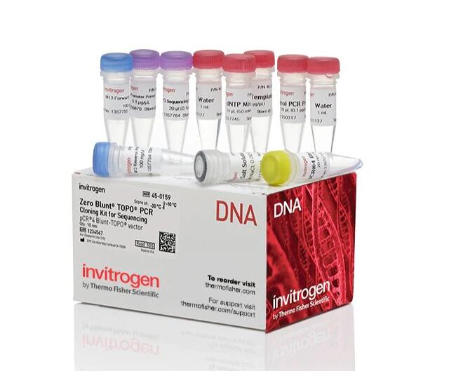 犬流感病毒H3N2型PCR试剂盒,Canine Influenza Virus H3N2