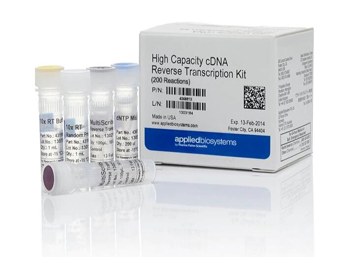 犬疱疹病毒PCR试剂盒,Canine Herpes Virus