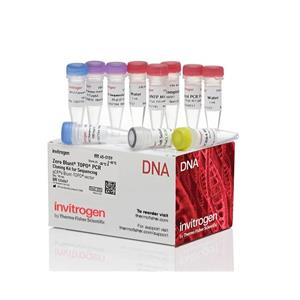 首乌藤探针法PCR鉴定试剂盒