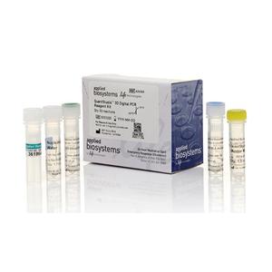 胎儿弯曲杆菌性病亚种探针法荧光定量PCR试剂盒