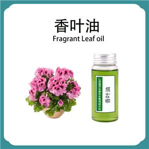 天竺葵精油,Geranium essential oil