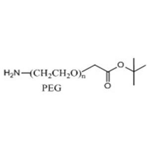 氨基-聚乙二醇-叔丁酯