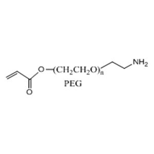 丙烯酸酯-聚乙二醇-氨基