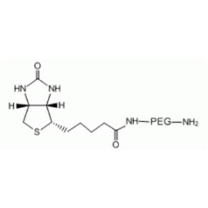 生物素-聚乙二醇-氨基