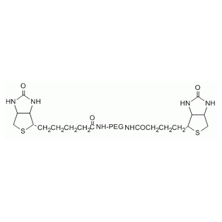 生物素-聚乙二醇-生物素,Biotin-PEG-Biotin