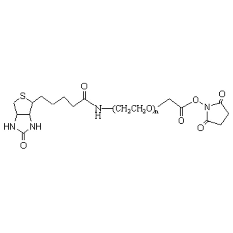 生物素-聚乙二醇-琥珀酰亚胺乙酸酯,Biotin-PEG-SCM