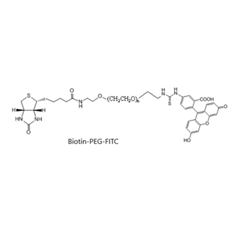 荧光素-聚乙二醇-生物素,FITC-PEG-Biotin;Fluorescent-PEG-Biotin