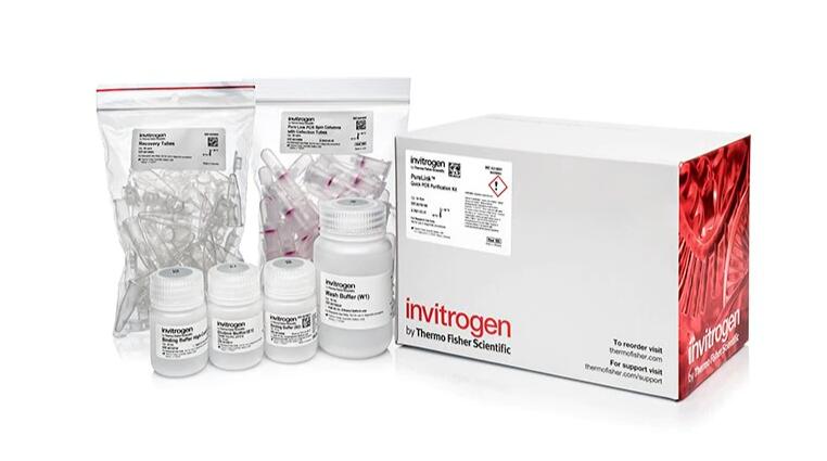 山羊疱疹病毒1型探针法荧光定量PCR试剂盒,Caprine Herpesvirus 1(CpHV-1)