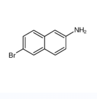 N,N-二甲基烷基-C10-16-胺-N-氧化物,LAURYL DIMETHYLAMINE OXIDE