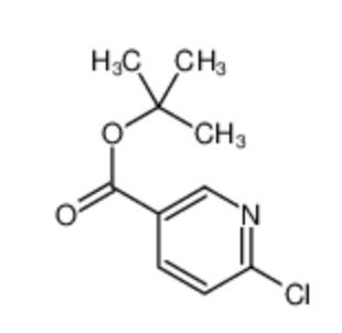 6-氯烟酸叔丁酯,tert-butyl 6-chloropyridine-3-carboxylate;6-Chloronicotinic acid tert-butyl ester;tert-butyl 2-chloro-5-pyridinecarboxylate;tert-Butyl 6-chloronicotinate;tert-butyl 6-chloropyridine-3-carboxylate