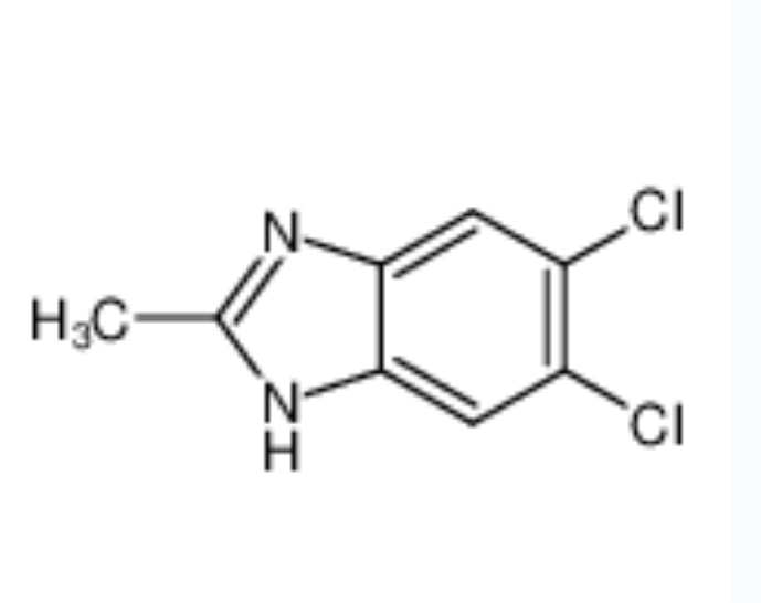 5,6-二氯-2-甲基苯并咪唑,5,6-DICHLORO-2-METHYLBENZIMIDAZOLE