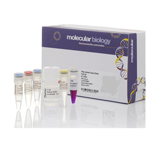 香石竹细菌性萎蔫病菌PCR试剂盒