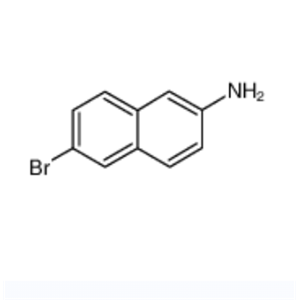 70592-80-2；N,N-二甲基烷基-C10-16-胺-N-氧化物