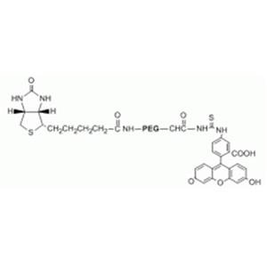 荧光素-聚乙二醇-羧基