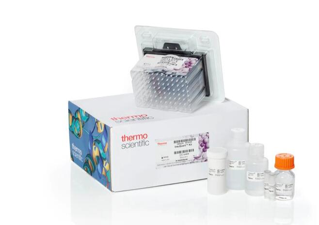 苜蓿花叶病毒RT-PCR试剂盒,Alfalfa Mosaic Virus(AMV)