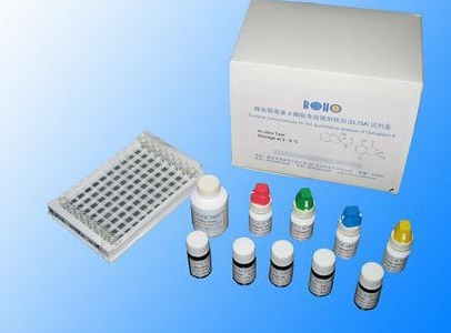 人血管紧张素Ⅱ(ANG-Ⅱ)Elisa试剂盒,ANG-Ⅱ