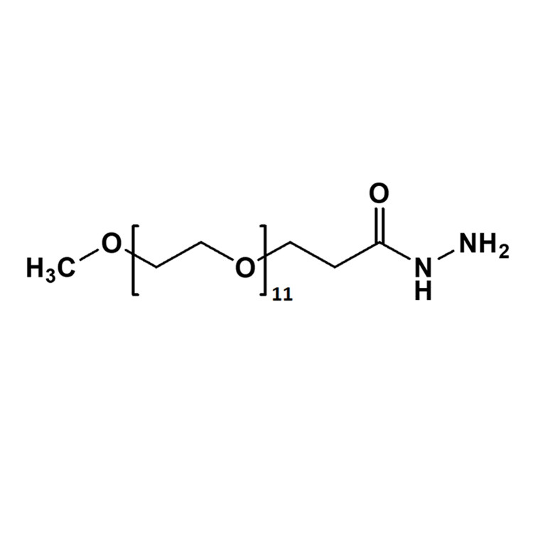 甲氧基-聚乙二醇-酰肼,mPEG-Hydrazide;mPEG-HZ